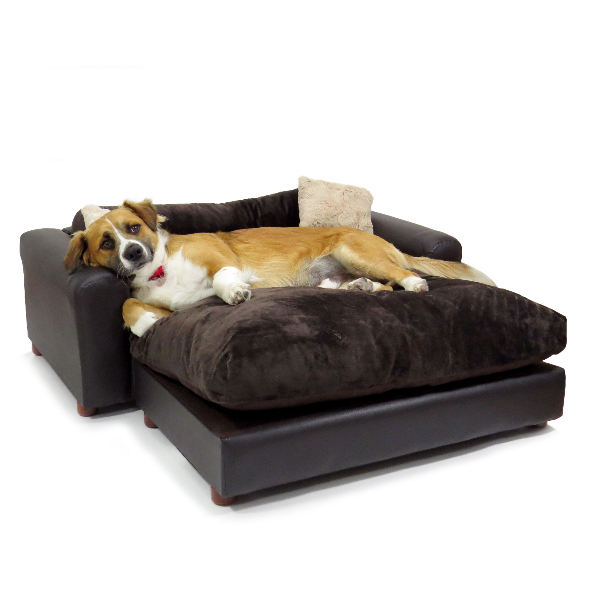 Moots Premium Leatherette Pets Sofa Espresso, Extra Large