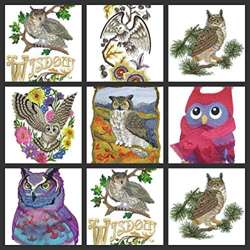 Amazing Birds Kingdom [Owl ] [Custom and Unique] Embroidered Iron on/Sew Patch (5.6" x 5")