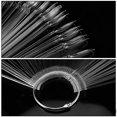 thumbnail image 4 of 150PCS Transparent Nail Sticks, Plastic Nail Polish Sticks Nail Color Display Practice Nail Art Sample Sticks for Professional Use, Home DIY, 4 of 5