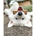 thumbnail image 6 of Nylabone Nubz Chicken Dog Chew Treats Large - 30+ lbs. (8 Count), 6 of 13