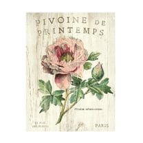 Trademark Fine Art 'Pivoine de Printemps' Canvas Art by Sue Schlabach