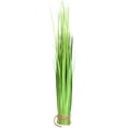 thumbnail image 2 of Northlight Onion Grass with Jute Rope Artificial Bundle Decoration - 30.25" - Green, 2 of 6