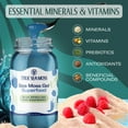thumbnail image 6 of TrueSeaMoss Wildcrafted Irish Sea Moss Gel – Blue Spirulina, 1 Pack, Natural Seamoss – 16 fl oz Flavored Seaweed Snack, 6 of 10