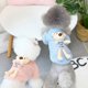 thumbnail image 3 of Ropa para mascotas Ropa para perros Ropa de otoño e invierno Ropa para mascotas de peluche Piernas Polar Espalda Polar de oso, 3 of 6