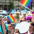 thumbnail image 4 of AIEX 20pcs Rainbow Small Flags with 20pcs Rods, Vigorous Colored Gay Pride Banner Lesbian Pride Flag LGBTQ Mini, 4 of 5