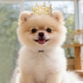 thumbnail image 5 of Gytml Bling Pet Crown Hat, Gemstone Decor Pet Head Accessory, Adjustable Pet Tiara For Wedding & Birthday Events A-One Size, 5 of 5