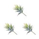 thumbnail image 4 of Advancent Limpie el polvo fácilmente con plantas artificiales de bajo mantenimiento Balcón ABS Suculentas artificiales MM906 Verde flocado Type1 NO1, 4 of 6