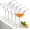 5PCS, variant on Bird Bam Glasses, 5oz/150ml Bird Glasses Cocktail Glasses, Unique Wine Glasses For Champagne, Mixed Drinks, Party, Wedding And Home Decor (3PCS)