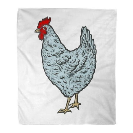 559 Sofa - ASHLEIGH Throw Blanket Warm Cozy Print Flannel Chicken Hen Bird Poultry Sketch Farm Feathered Engraving Retro Vintage Comfortable Soft for Bed Sofa and Couch 58x80 Inches