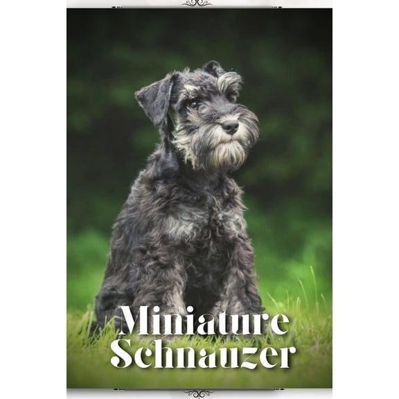 Miniature Schnauzer: Dog breed overview and guide