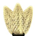 thumbnail image 1 of Celebrations 9016691 LED C9 Commercial Light Set, Warm White - 25 Lights, 1 of 1