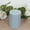 Dusty Blue, variant on BalsaCircle 12 Blush 3x4 in Round Dripless Unscented Pillar Candles Wedding Reception Party Centerpieces Decorations Supplies
