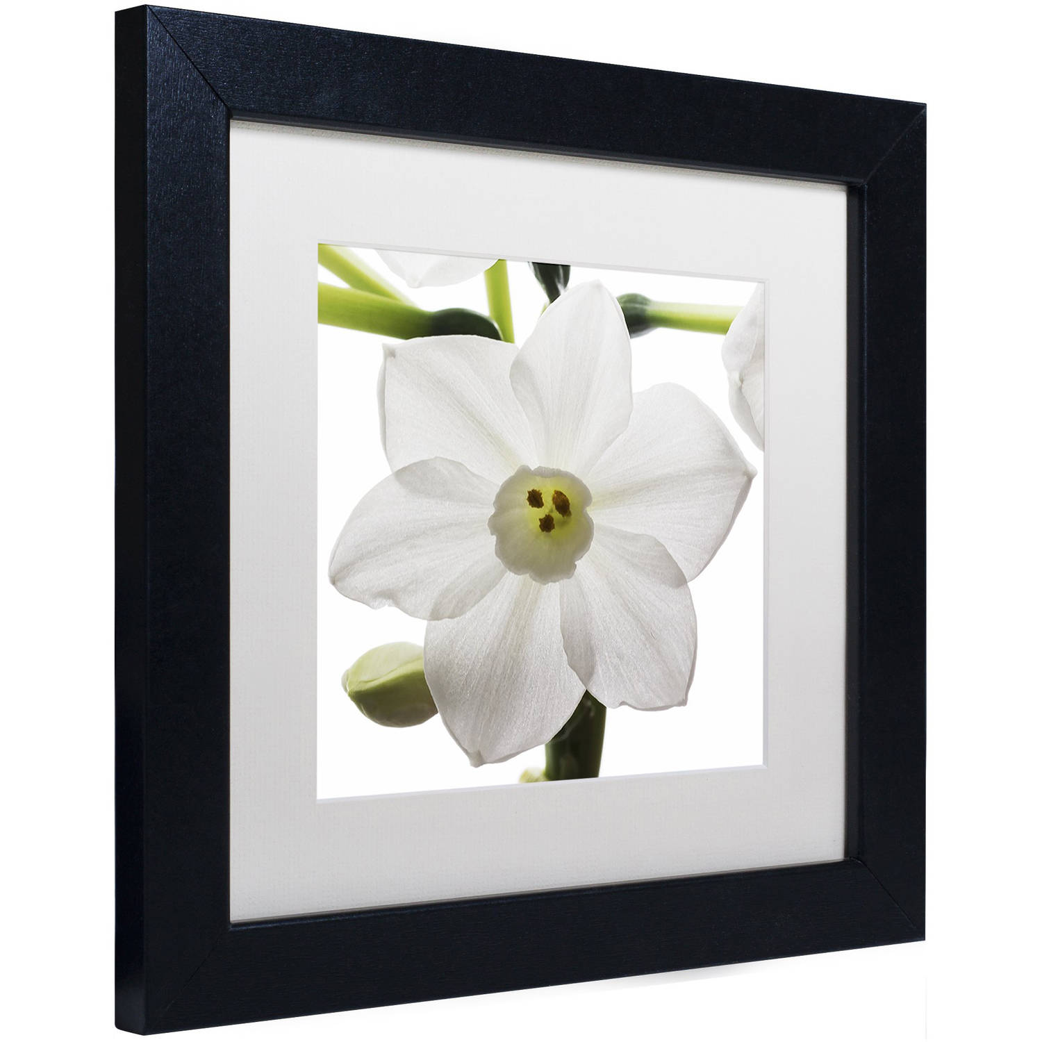 Trademark Fine Art "Paper White 2" Canvas Art by Kurt Shaffer White Mat, Black Frame