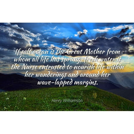 Fresh Henna - Henry Williamson - Famous Quotes Laminated POSTER PRINT 24x20 - If salt ocean is the Great Mother from whom all life has sprung, fresh water is the Nurse entrusted to nourish life within her wanderin