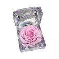 thumbnail image 1 of Caja Para Guardar Anillos Con Flores Preservadas, 4 Unidades, Para Regalo De Cumpleaños, Para Esposa Y Familia, Color Rosa, 1 of 8