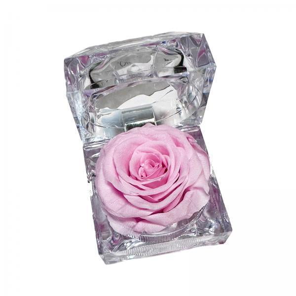 Caja Para Guardar Anillos Con Flores Preservadas, 4 Unidades, Para Regalo De Cumpleaños, Para Esposa Y Familia, Color Rosa