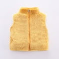 thumbnail image 3 of Lindreshi Toddler Girl Coats and Jackets Toddler Baby Grils Fleece Outwear Boys Zipper Solid-color Thick Kids Warm Coat, 3 of 5
