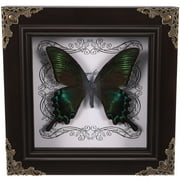 Butterfly Specimen Photo Frame Frames Household Desktop Decoration Real Taxidermy Framed Handmade Pendant Retro