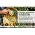 thumbnail image 4 of Ellora Farms Global Award-Winning Single Estate Extra Virgin Olive Oil, 17 oz Tin, 4 of 8