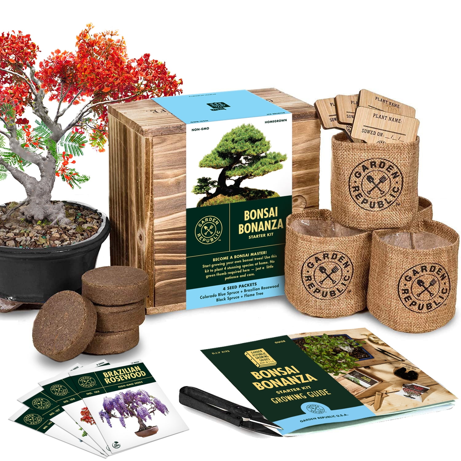 Set Japanese Bonsai Starter Kit Grow 4 Trees from Seed Guide & Plant Markers 