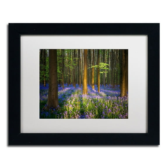 Trademark Fine Art "Mystical Forest" Canvas Art by Mathieu Rivrin, White Matte, Black Frame