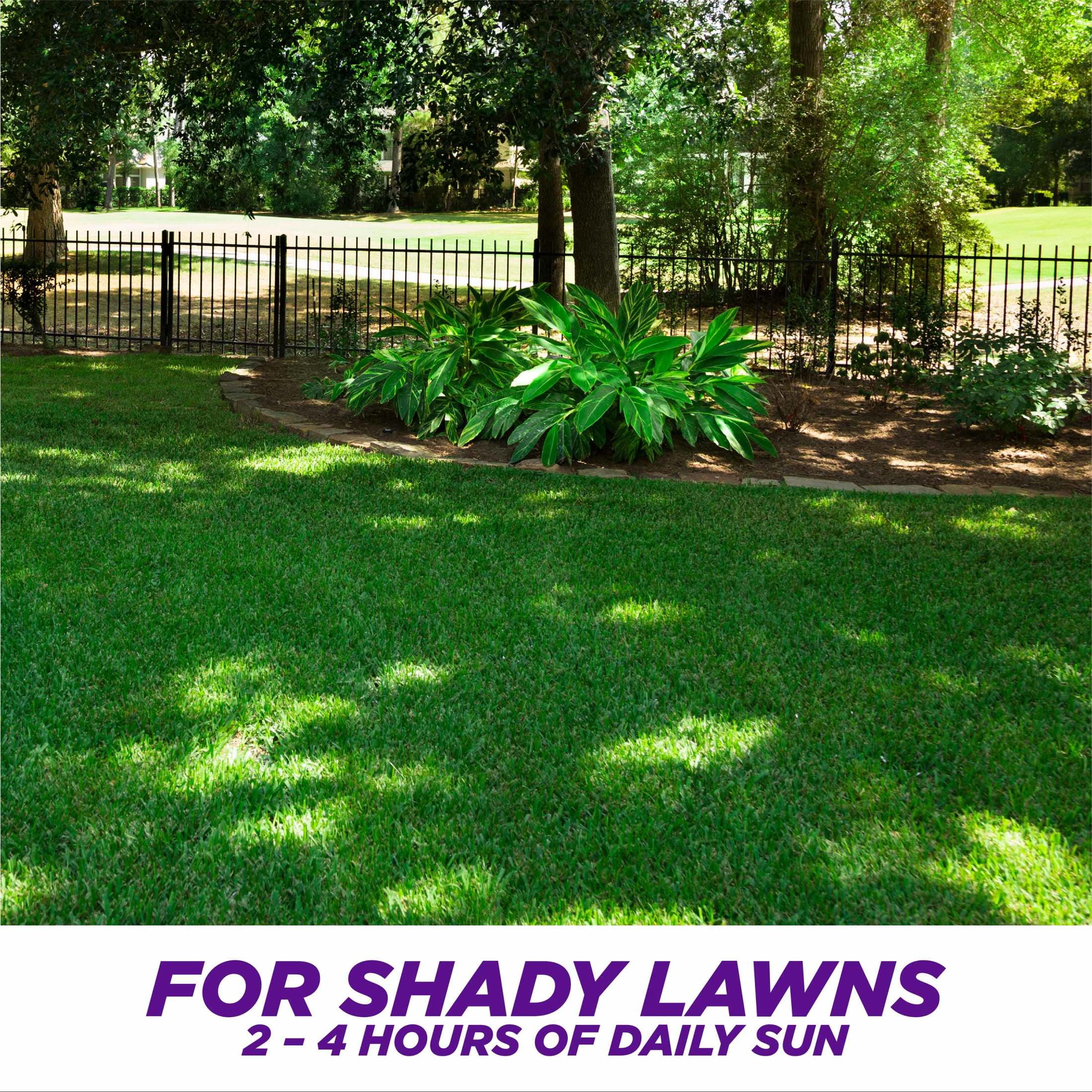 (2 pack) Pennington One Step Complete Dense Shade Patch & Repair Grass Seed Mix, Partial to Full Shade, 5 lb.