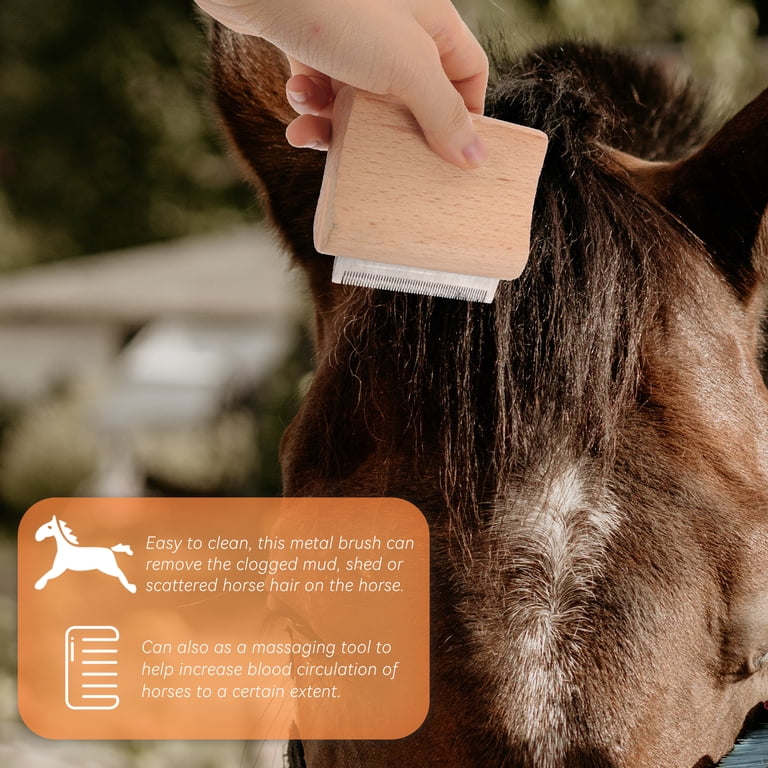 Brosse Pour Cheval Et Râteau à Transpiration, Outil De Déshedding Pour Bovins Et Animaux De Compagnie, Neuf