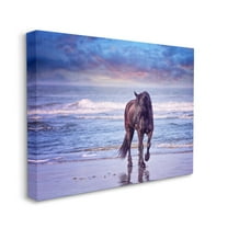 Stupell Industries Wild Horse on Beach Colorful Blue Sunset Canvas Wall Art Design by PHBurchett, 16" x 20"