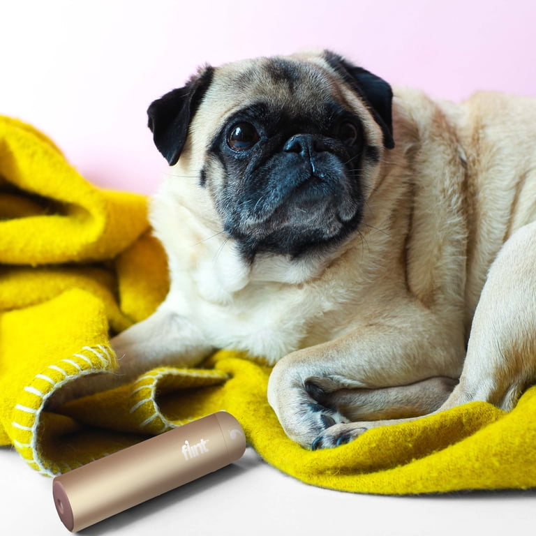 Flint Classic Gold Retractable Mini Lint Roller with 30 Extra