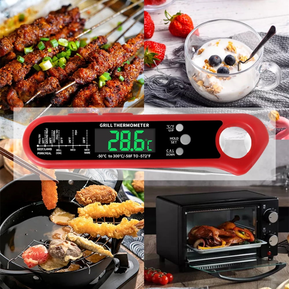 BBQGO Instant Read Meat Thermometer for Cooking, 3 in 1 Waterproof Digital  Food Thermometer BG-HH2P with 2 Detachable Wired Probe, Backlight, and
