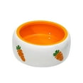 thumbnail image 4 of Maoww Non Slip Rabbit Feeder Bowl Feeding Basin for Hedgehog Gerbils Puppy Kitten 11cmx4.5cm Round, 4 of 9