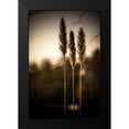 thumbnail image 2 of Taylor, Glenn 11x14 Black Modern Framed Museum Art Print Titled - Grasses Trio, 2 of 5