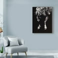 thumbnail image 3 of Trademark Fine Art 'Hangin Four' Canvas Art by Julie T. Chapman, 3 of 4