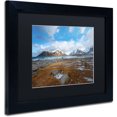 thumbnail image 2 of Trademark Fine Art "32 Blues" Canvas Art by Philippe Sainte-Laudy, Black Matte, Black Frame, 2 of 4