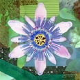 thumbnail image 2 of McGee, Jenny 15x15 White Modern Wood Framed Museum Art Print Titled - Passion Flower II, 2 of 4