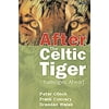 After the Celtic Tiger: Challenges Ahead [Paperback - Used]