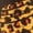 Brown, variant on Rightly Dividing Hebrews to Revelation, (Paperback)