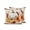 Beige, variant on Outdoor Pillows Waterproof, Fall Boho Pumpkins Bedding Throw Pillows with Insert for Couch Sofa Bed, Thanksgiving Farmhouse Vintage Maple Leaf 16x16 Inch Pillowcases Decorative Patio Pillow Set of 2