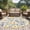 Multicolor, variant on Garden Flora Illustrations Round Area Rug 5 FT, Non Slip Bedroom Rugs, Blue Yellow Flowers Washable Soft Circular Carpet Non-Shedding Floor Mat for Kitchen Dining Room Foyer Balcony Dorm