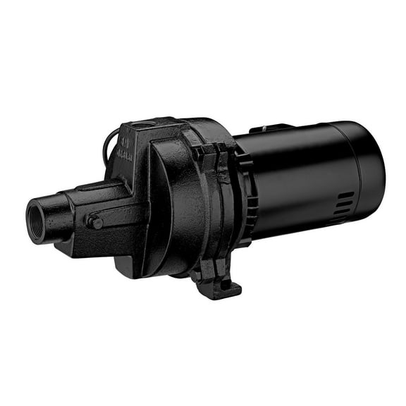 Flotec 1 HP 1440 GPH Cast Iron Shallow Jet Well Pump