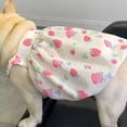 thumbnail image 4 of Adorable Pet Clothes for Cats & Small Dogs - Charming Spring & Autumn Wear, 4 of 4