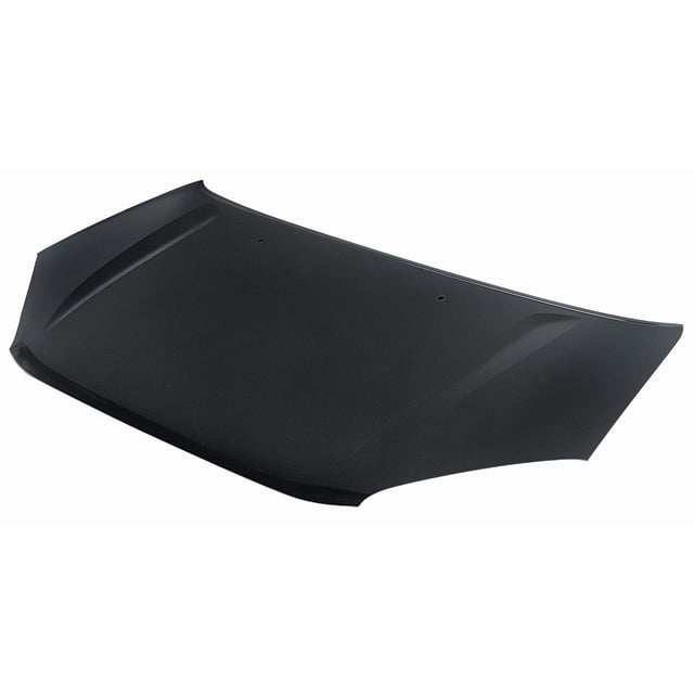 Cofre TONG YANG RAV 4 2001 al 2005 1 pieza Producto Nuevo