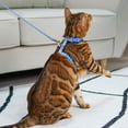 thumbnail image 6 of azuza Cat Harness and Leash Set for Safe Walking and Travel, Cat Harness Escape Proof Lightweight Size Adjustable Soft Material for Small Large Cats, Blue Plaid, 6 of 7