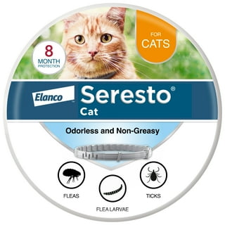 Ssscat walmart outlet