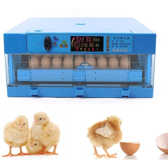 Egg Incubator with Automatic Egg Turner, Digital Smart Mini Chicken Egg Water Bed Incubator Poultry Incubator Hatcher for Chickens Ducks Goose Birds 110V 12V 64 Eggs