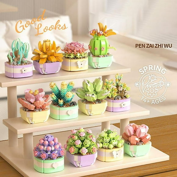 Succulent Building Set, Succulent Bonsai Botanical Decor Collection Building Kit, Build a Succulents Plants Display Piece for Home or Office, Ideal Gi