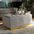 thumbnail image 3 of Bowery Hill Grey Velvet Fabric Upholstered and Gold PU Leather Storage Ottoman, 3 of 4