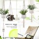 thumbnail image 4 of Yuarrent Cestas colgantes 100 hechas a mano, soporte para plantas, macramé, colgador de plantas, maceta para colgar en la pared interior, soporte para Jardín y Patio No.19 Yuarrent HA001777-19, 4 of 6