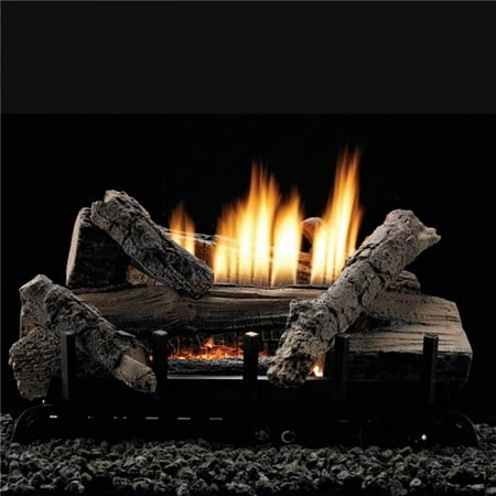 

18 in. Natural Gas Millivolt Refractory Burner - 7 Piece