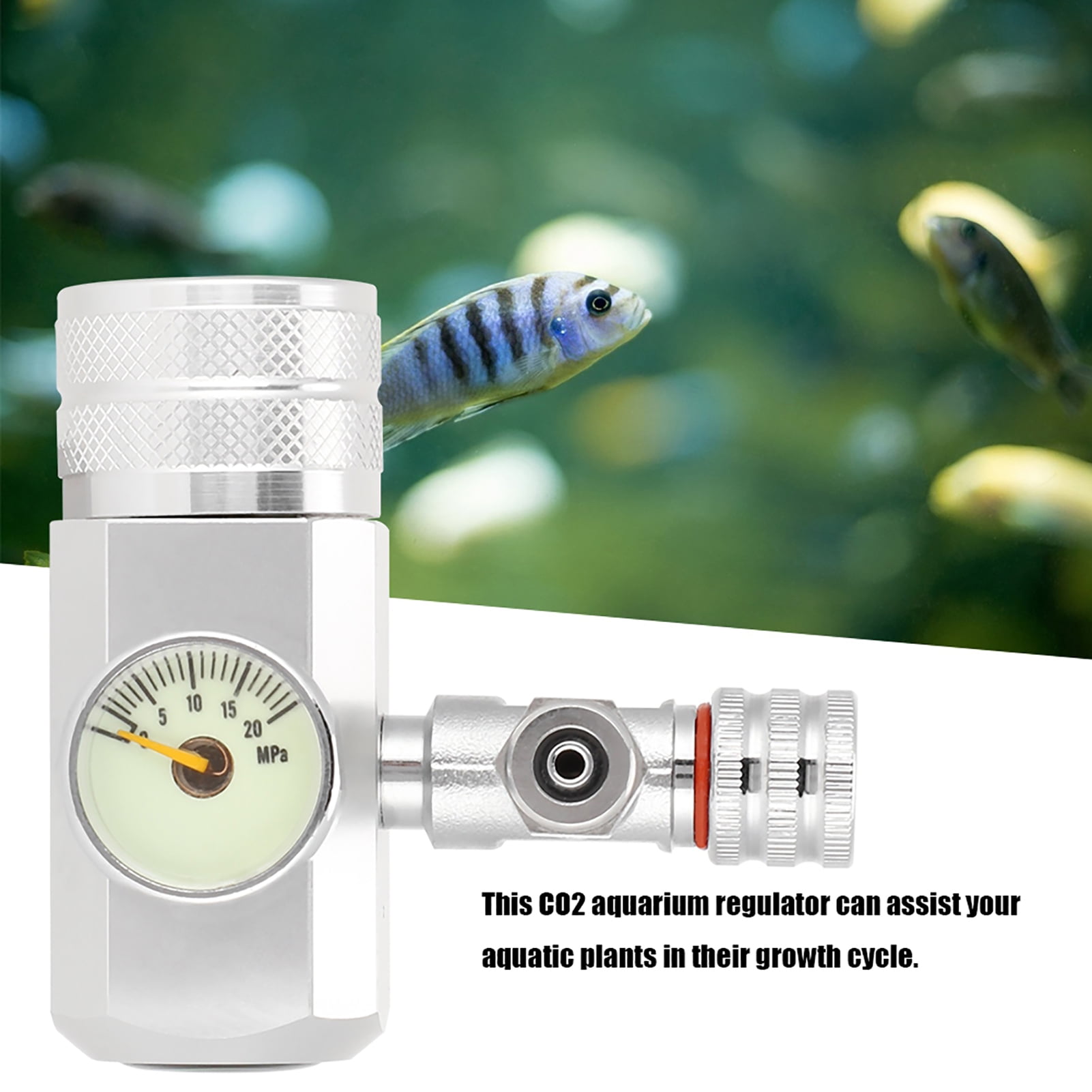 M Buder Aquarium CO2 Regulator Single Gauge Display W21.8 Valve Heavy Duty 3.94 in / 10 cm